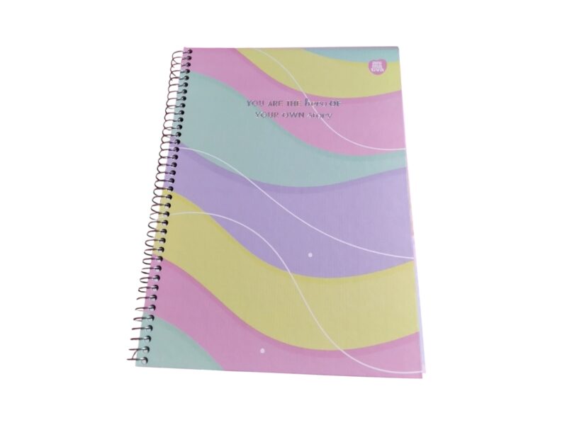 Caderno Colegial 1 matéria 80 FLS - Animativa