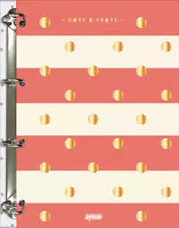 Caderno Argolado College Dots & Spots - Jandaia